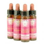 PinkRose (Trandafirul "Regina Elisabeta")