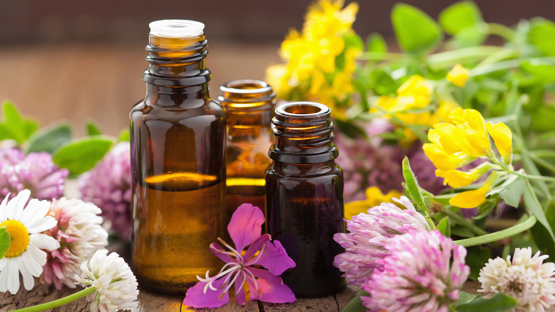 Remedii florale bach pentru slabit – Blog de frumusețe