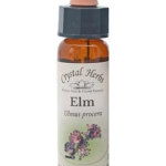 Elm (Ulm) 10ml