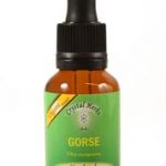 Gorse (Orz salbatic) 10ml
