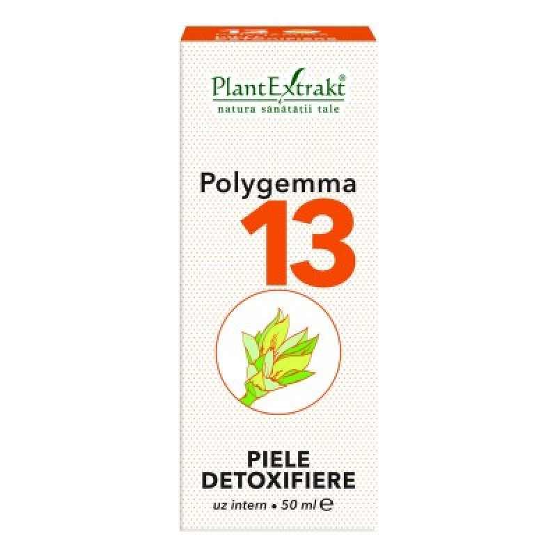 Polygemma 14 Articulatii - PlantExtrakt, 50 ml (Articulatii) - caserenovari.ro