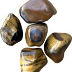 Ochi de tigru L Brazilia