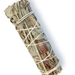 Salvie alba californie & patchouli  25g 10cm